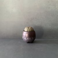 輸入株 オベサ 5.9cm OB-03  ×【 ISOBE - BACHI 】"丸壺型" 笠間焼 2.5号鉢 ［作家 磯部祐介］