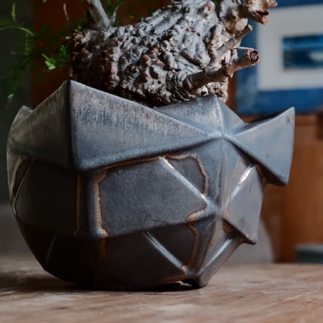 オペルクリカリア パキプス φ11cm［No.26］  ×  根本峻吾 作 S.N POT special「 黒騎士 - kurokishi - 」5号 植木鉢 笠間焼