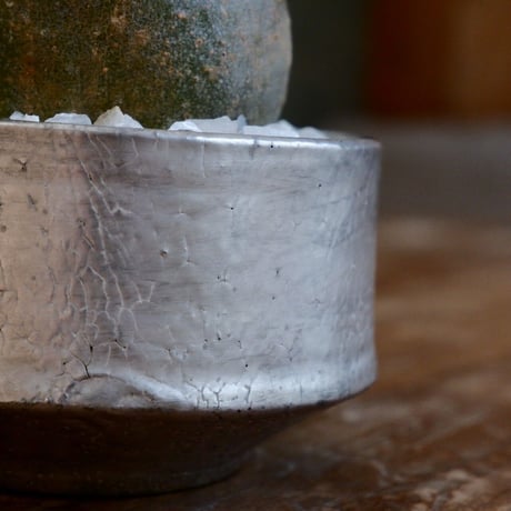 美形 丸株  グラキリス  - 象牙宮 - size S［No.36］  ×  沼野秀章 特別作品 『 Silver Wrap 』3.5号 植木鉢