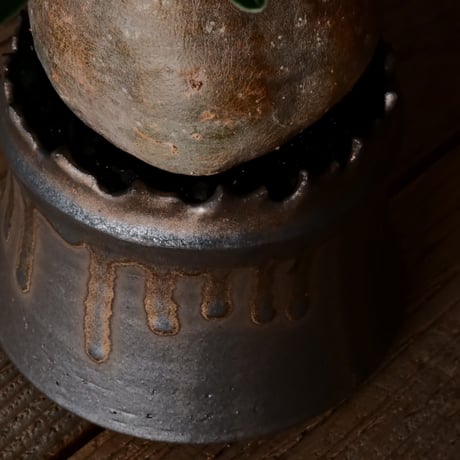 グラキリス φ10cm  - 象牙宮- ［No.229］  ×   根本峻吾 作 S.N POT type.cylinder「 黑焰 - kokuen - 」4号 植木鉢 笠間焼