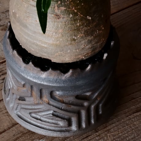 グラキリス φ11cm  - 象牙宮- ［No.36］  ×   根本峻吾 作 S.N POT type.cylinder「 鐡 - 黒焔 - 」4号 植木鉢 笠間焼