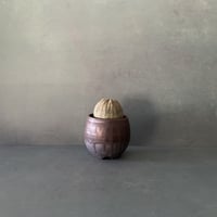 輸入株 オベサ 5.8cm OB-02  ×【 ISOBE - BACHI 】"丸壺型" 笠間焼 2.5号鉢 ［作家 磯部祐介］