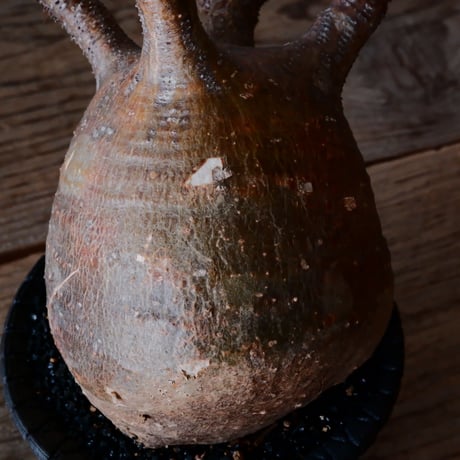 グラキリス φ10cm - 象牙宮 -［No.223］  × 沖誠 作「 Bark / round 」 3号 植木鉢 笠間焼