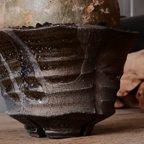 グラキリス φ12cm - 象牙宮 - ［No.18］  ×   沼野秀章 作「 black wrap 」4号 植木鉢 笠間焼