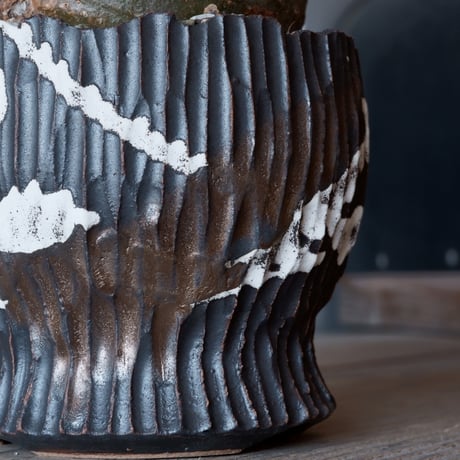 グラキリス φ8.5cm - 象牙宮-［No.02］× 根本峻吾 作 S.N POT type.round「 爪牙 -堕天黒- 」3.5号鉢 笠間焼