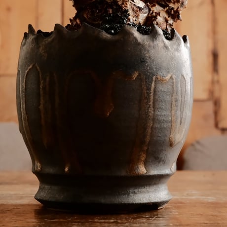 チレコドン レティキュラーツス 万物想［No.2］  ×   根本峻吾 作 S.N POT type.round「 黒焔  」3号 植木鉢 笠間焼