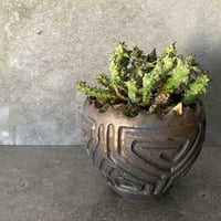 ホリダ モンストローサ 変異体 群生［ No.10 ］×  S.N.Pot " 鎬丸 " - crown - 4号鉢  M［作家  根本峻吾 ］