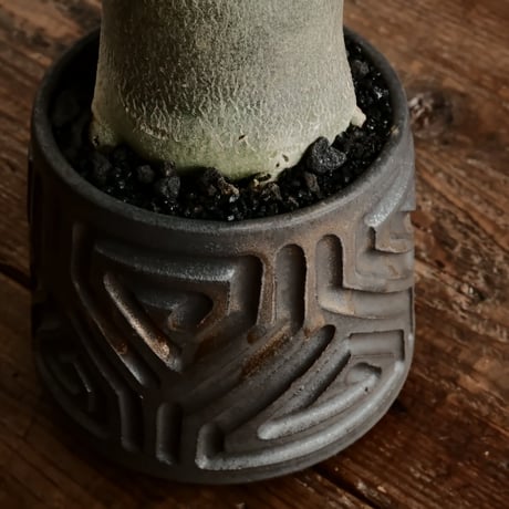 《人型》アデニウム アラビカム " ドワーフ " φ6.5cm［No.6］  ×  根本峻吾 作 S.N POT type.normal「 鐡 - kurogane - 」 3号  笠間焼