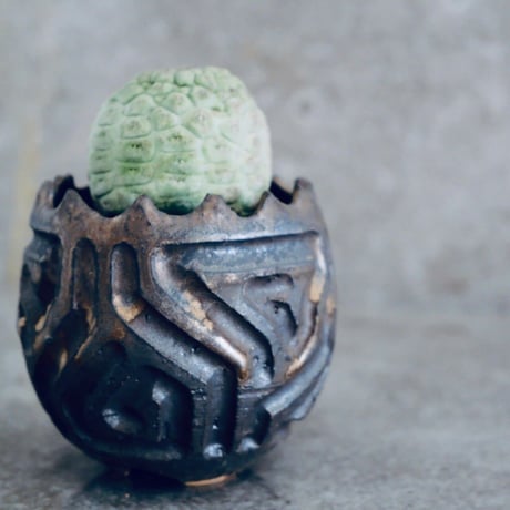 仏頭玉 ラリレアキア カクティフォルメ No.09  ×  S.N.Pot " 鎬丸 " - crown - 2号鉢［作家 根本峻吾 ］