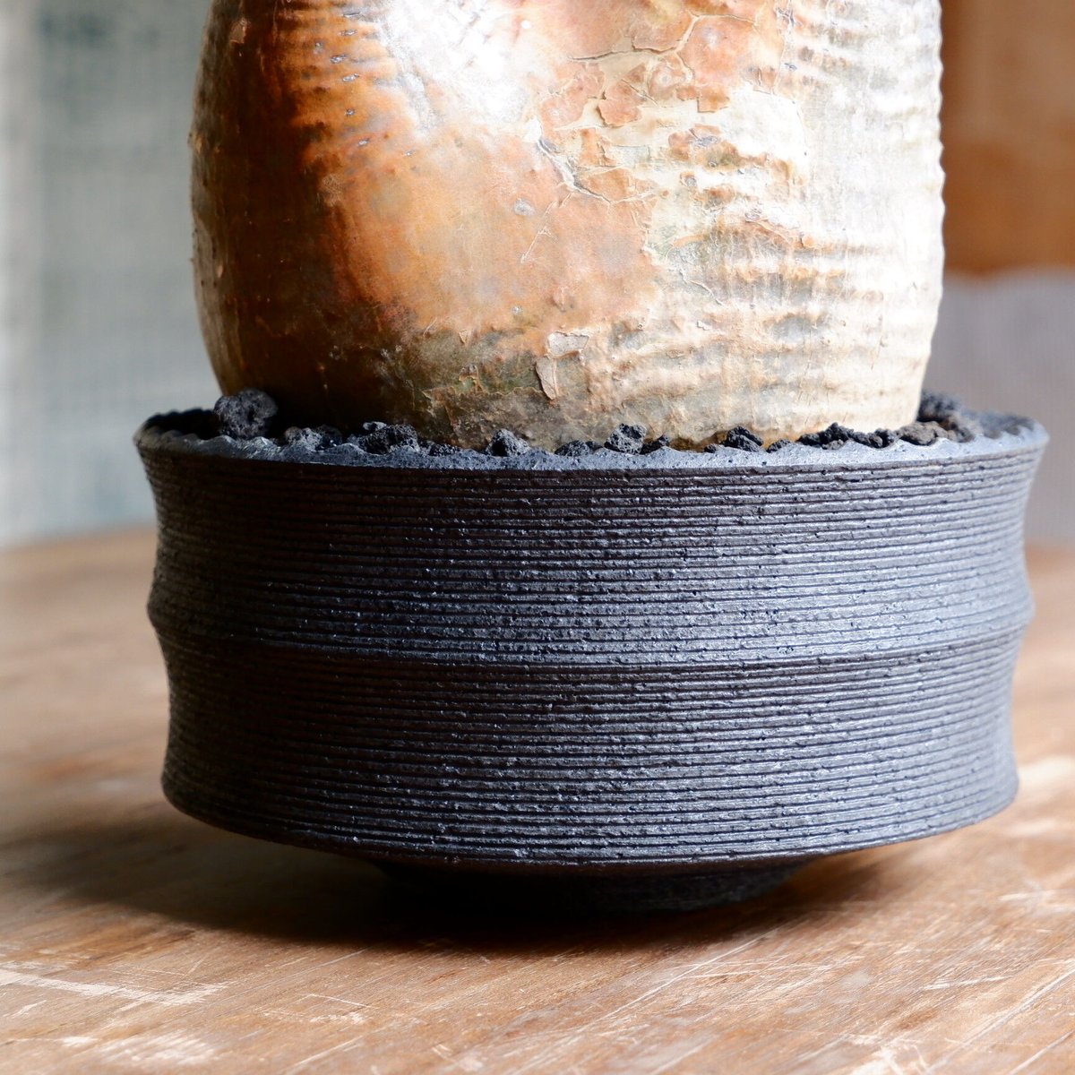 大株 赤肌 グラキリス - 象牙宮 - size XL［No.38］ × 沖誠 作品