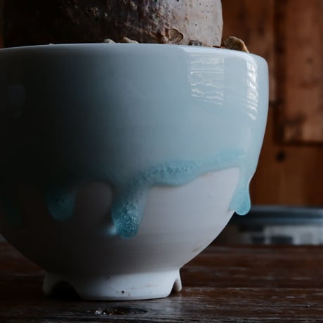 グラキリス - 象牙宮 -［No.128］  ×  小林 哲也 作 「雫」- bowl type - 4号 植木鉢