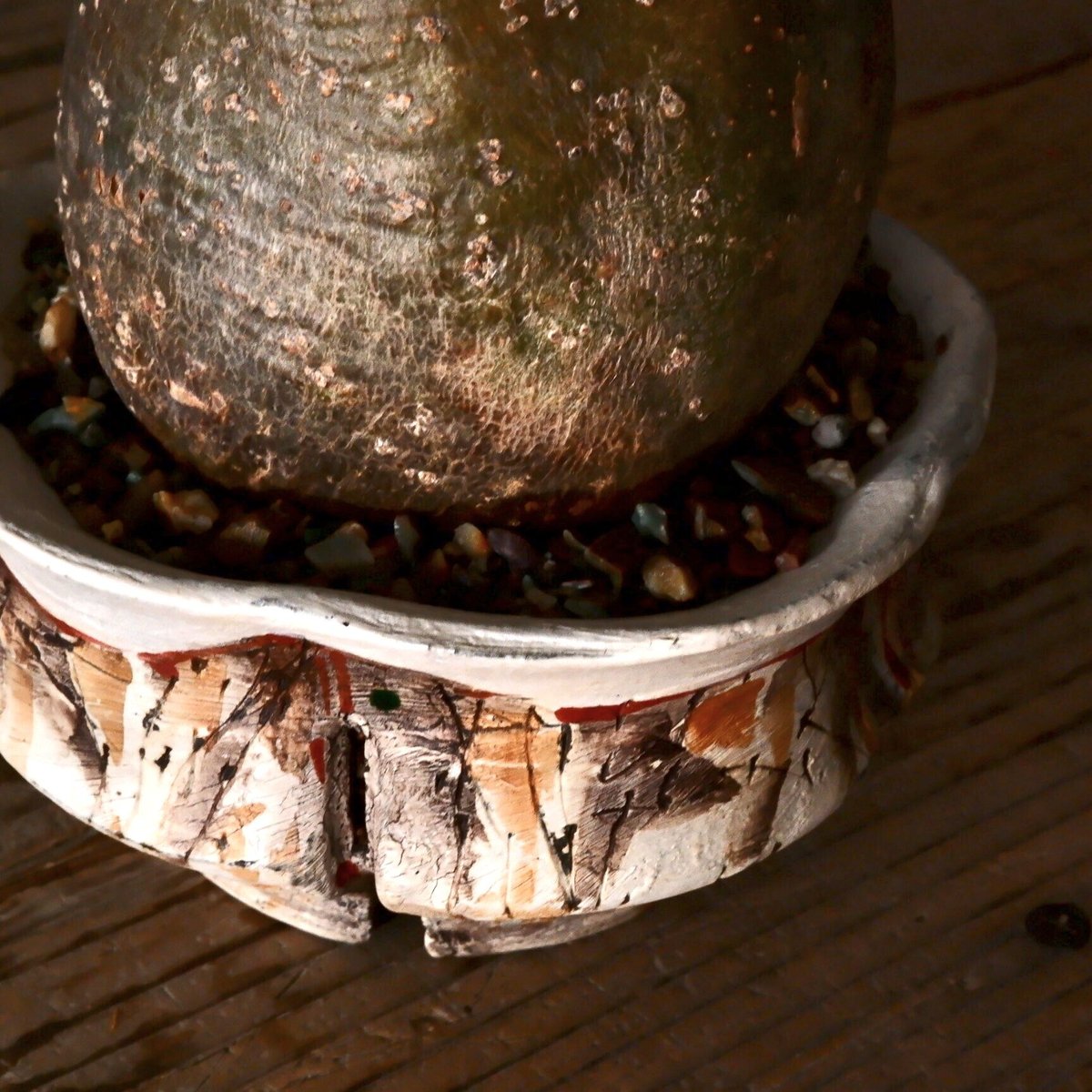 沼野秀章 / 刻ム音 / 5号 新品未使用 アガベ グラキリス 沼野秀章 / 刻