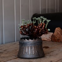 ペラルゴニウム ミラビレ［No.85］  ×   根本峻吾 作 S.N POT type.cylinder「 黑焰  -kokuen- 」 4号 植木鉢