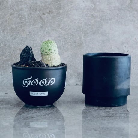 仏頭玉 ラリレアキア カクティフォルメ  No.03  ×   " EartH POWER " DESIGN POT / BLACK