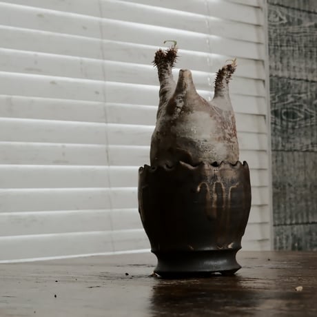 グラキリス φ8cm - 象牙宮 - ［No.64］  ×   根本峻吾 作 S.N POT type.round「 黒焔 - kokuen - 」3号 植木鉢 笠間焼