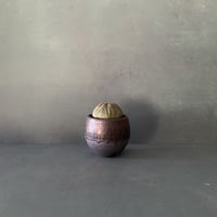 輸入株 オベサ 6.0cm OB-01  ×【 ISOBE - BACHI 】"丸壺型" 笠間焼 2.5号鉢 ［作家 磯部祐介］