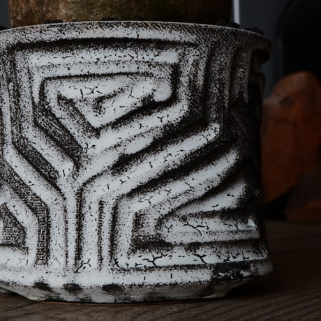 グラキリス φ8cm  - 象牙宮- ［No.75］  ×   根本峻吾 作 S.N POT type.slim「 月光ノ鐵」3.5号 植木鉢 笠間焼