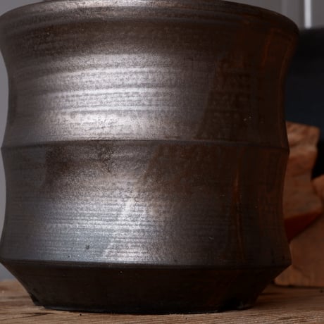 センナ メリディオナリス 輸入株［No.38］  × 松野 然 作 「ZEN」5.5号 植木鉢