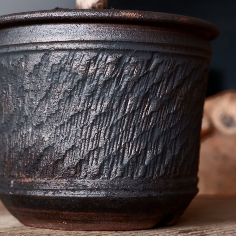 センナ メリディオナリス 輸入株［No.35］ × 與那嶺大輔 作 【 琉球飛