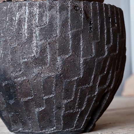 グラキリス φ8.5cm - 象牙宮 - ［No.37］  ×   沼野秀章 作「 black wrap 」3号 植木鉢 笠間焼