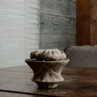 ブレビカウレ M - 恵比寿笑 -［No.62］  ×   沼野秀章 作「 刻ム音 」3.5号 植木鉢 笠間焼