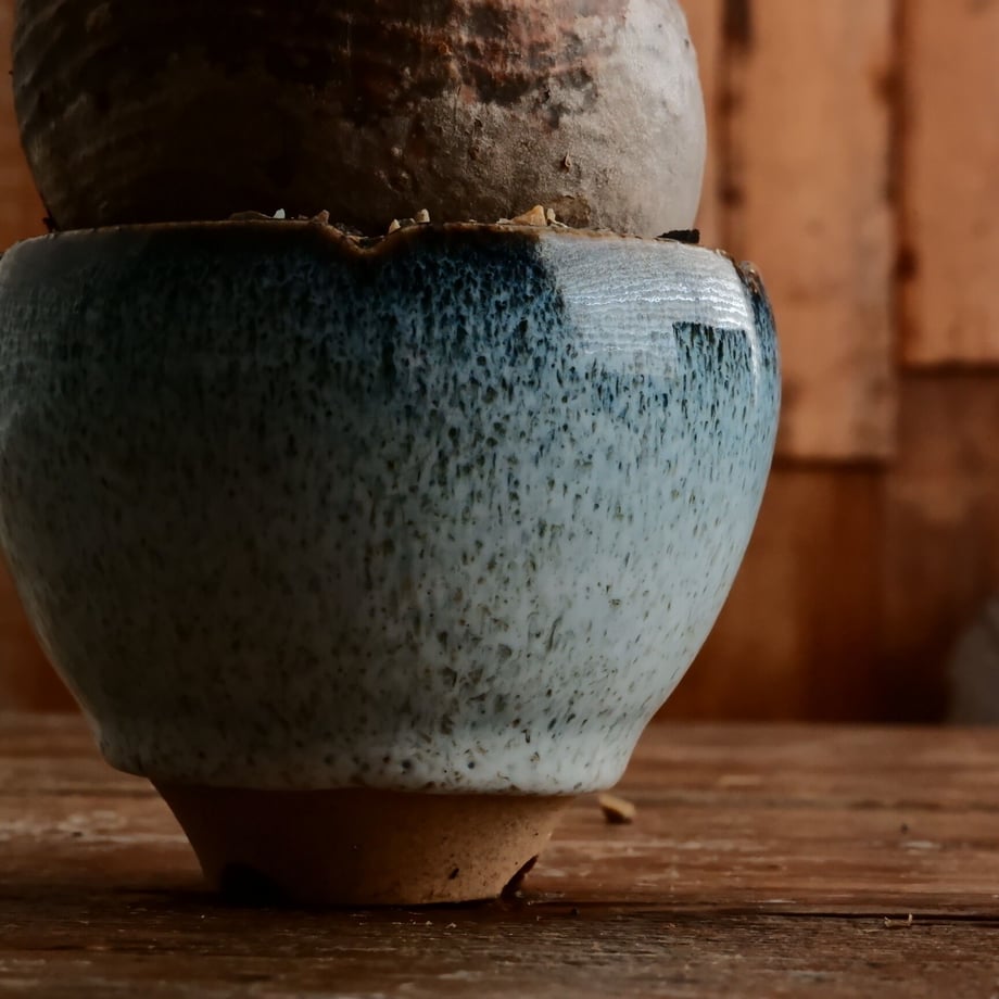 64aea2d2d356f70031578072