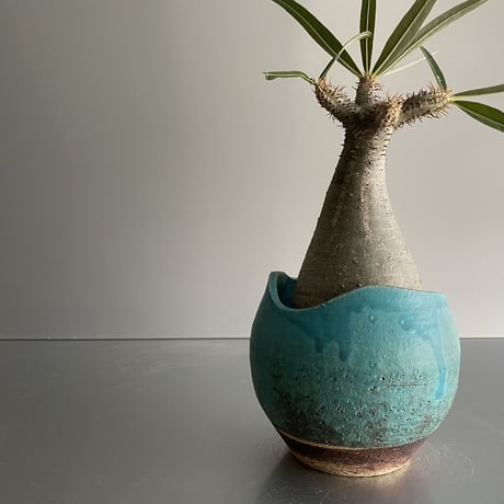 恐竜 Gracilius  ×  Shell pot S「Turquoise blue」 - 笠間焼 - C94