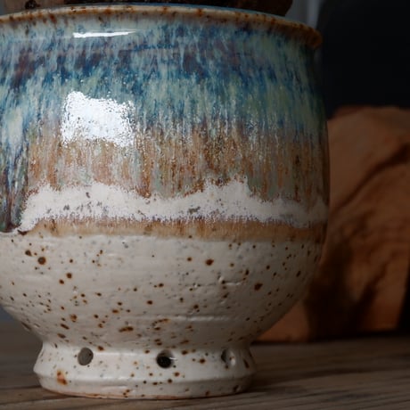 グラキリス φ8cm - 象牙宮 -［No.56］  × 磯部祐介 作「 彩 - sai - 」3号 植木鉢 笠間焼
