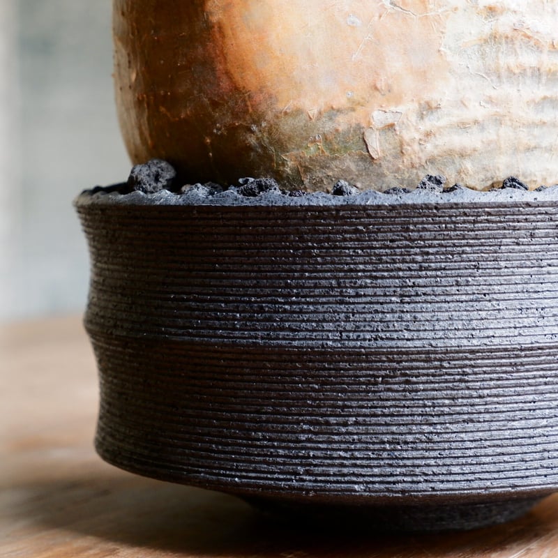 大株 赤肌 グラキリス - 象牙宮 - size XL［No.38］ × 沖誠 作品