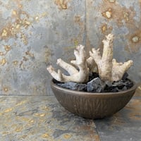 Madagascar Rock Garden - Black -［ No.2 ］