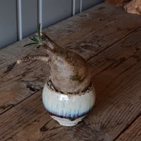 グラキリス φ7cm - 象牙宮 -［No.93］  × 磯部祐介 作「 円 - en - "彩り"」S 植木鉢 笠間焼