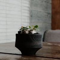 ブレビカウレ S - 恵比寿笑 -［No.25］  ×   沼野秀章 作「 black wrap 」3.5号 植木鉢 笠間焼