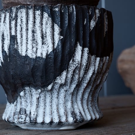 グラキリス φ8.5cm - 象牙宮-［No.27］× 根本峻吾 作 S.N POT type.round「 爪牙 -堕天白- 」3号鉢 笠間焼