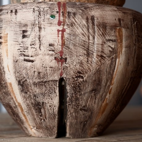 中株 マカイエンセ φ10cm - 魔界玉 - 輸入株［No.19］  ×   沼野秀章 作品「 刻ム音 」3.5号 笠間焼 植木鉢