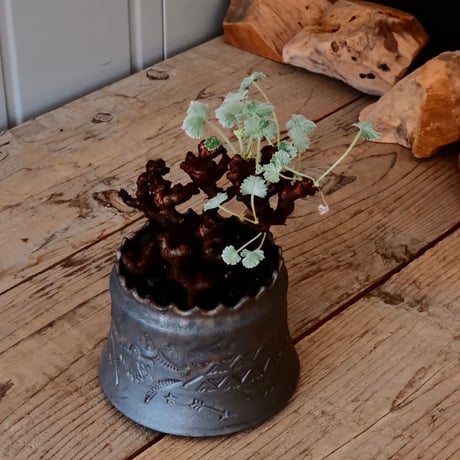 ペラルゴニウム ミラビレ［No.02］  ×   根本峻吾 作 S.N POT type.cylinder「 刻印  -kokuin- 」 4号 植木鉢