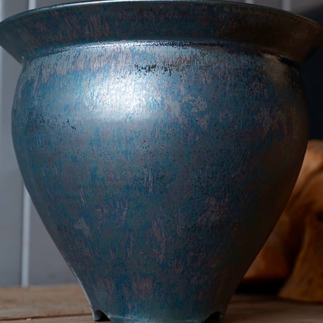 センナ メリディオナリス 輸入株［No.25］  × 坂本新 作【 LUSTER - black opal - 】 5号 植木鉢 笠間焼