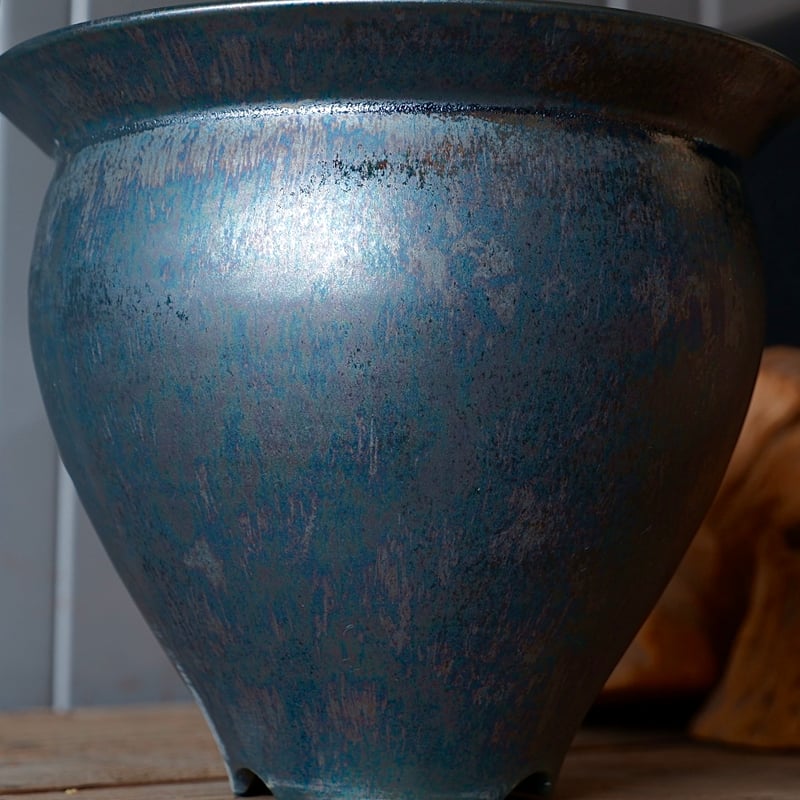 センナメリディオナリス 現地球 枝ぶり良好 良型 美株 阪本健 2025年最新】センナメリディオナリス 現地球の人気アイテム