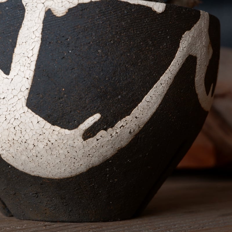 パキポディウム ブレビカリックス 輸入株 発根済［No.9］ × 沼野秀章