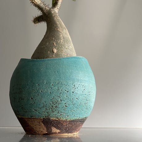 恐竜 Gracilius  ×  Shell pot S「Turquoise blue」 - 笠間焼 - C94