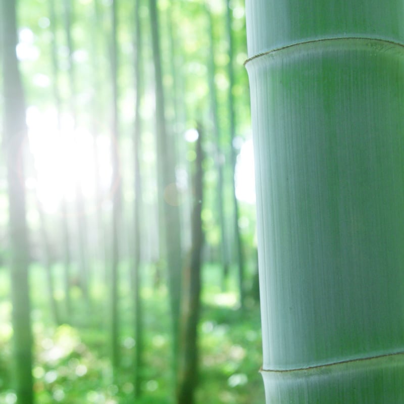 キムチ風味竹ちゃん | つけもの製造直売所