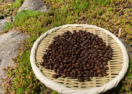 《浅煎り》ラオス・ナチュラル（150g）