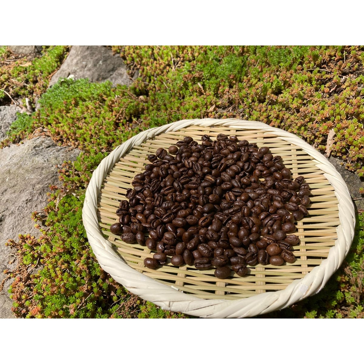 浅煎り》ラオス・ナチュラル（100g） | nating coffee