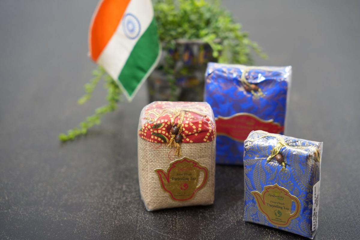 EYE PUDDING+ 6本セット Respond Grapes&Celadon / グレープスアンドセラドン】別注GC 006 21 ex