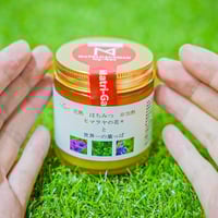 サンダルウッド アンチリンクル クリーム 40g | Go star