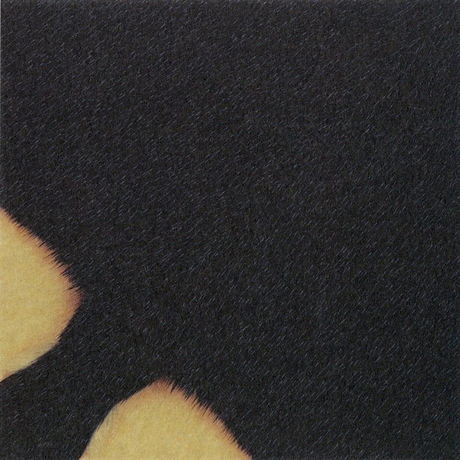 5ec738f734ef011da07ea4e8