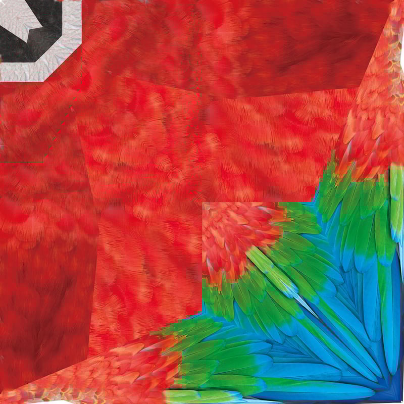 折り紙 F ギニアエボシドリ ベニコンゴウインコ ルリ