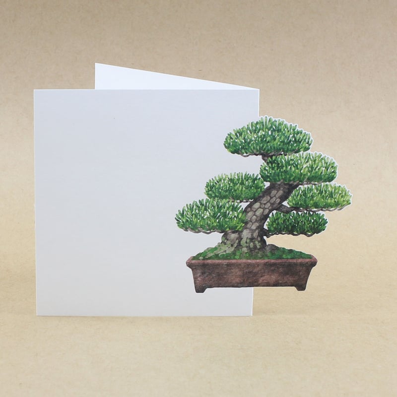 盆栽メモ 模様木 | マルモ印刷