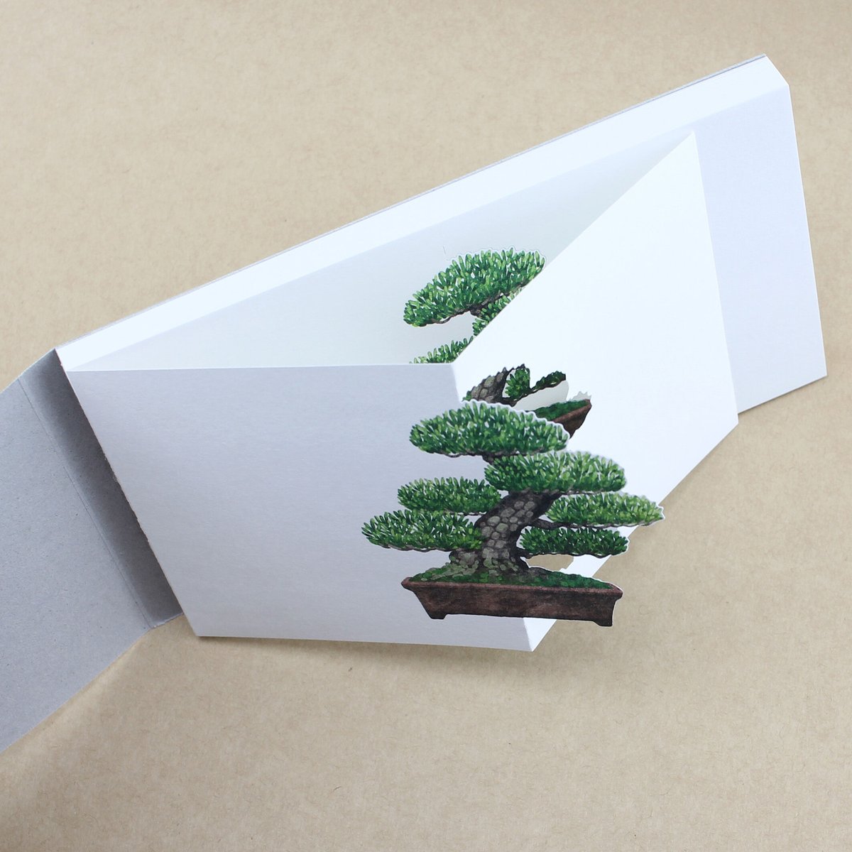 盆栽メモ 模様木 | マルモ印刷