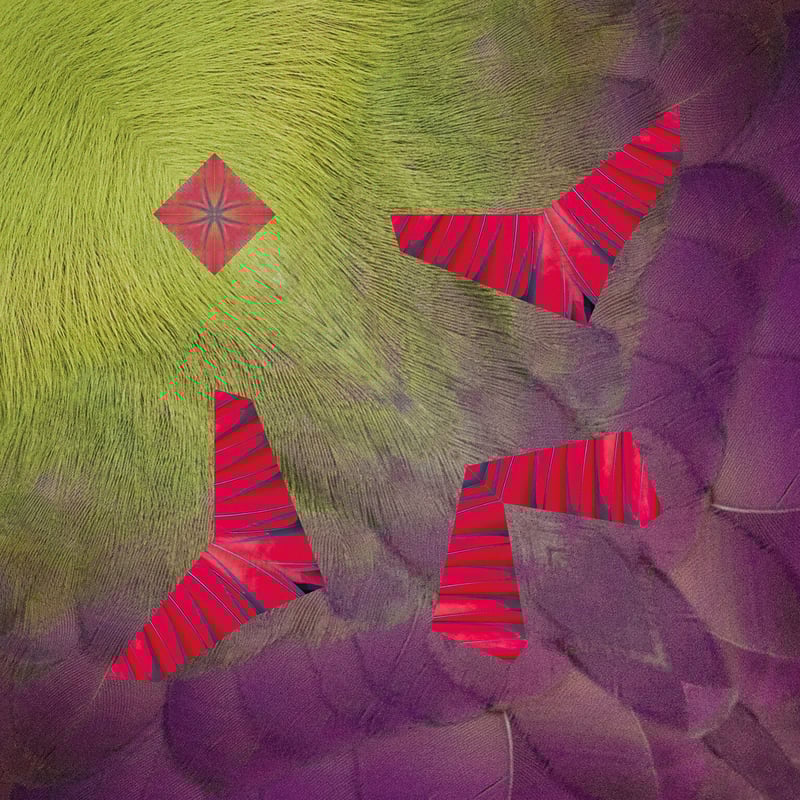 いりこページ コリブリ鑷子 0.30mm｜製品情報｜エムイーテクニカ