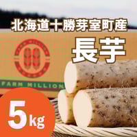 長芋 10キロ 残りわずか お買い得 北海道 イモ類 長いも 10kg」の人気商品一覧 | 安い商品を通販